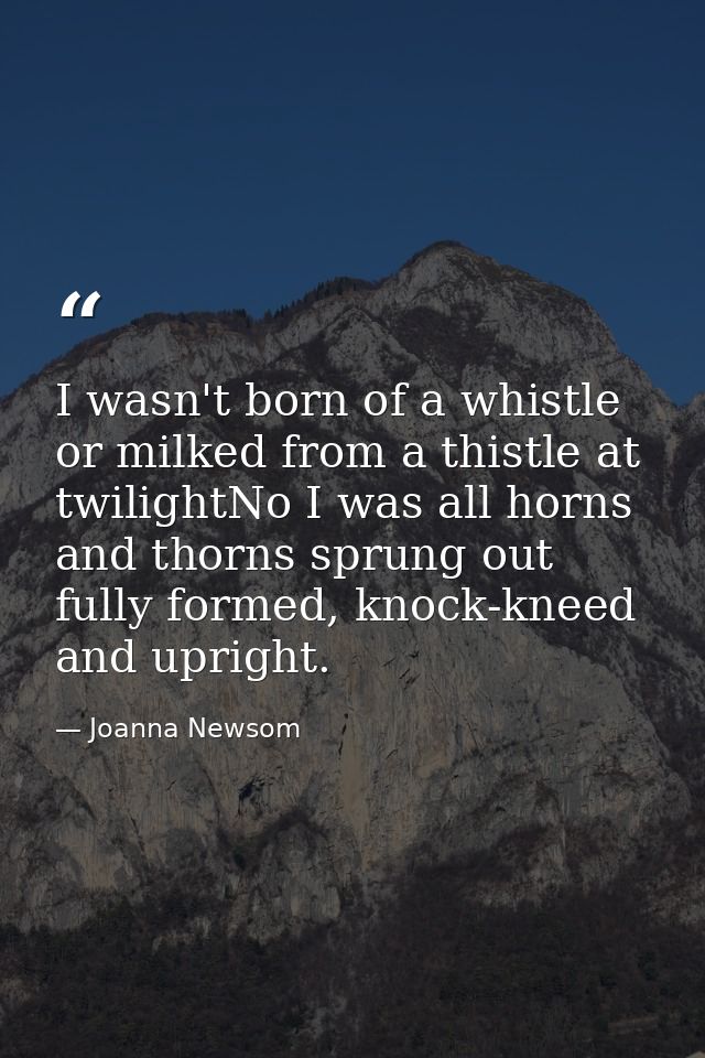 I wasn't born of a whistle or milked from a thistle at twilightNo I was all horns and thorns sprung out fully formed, kn — Joanna Newsom