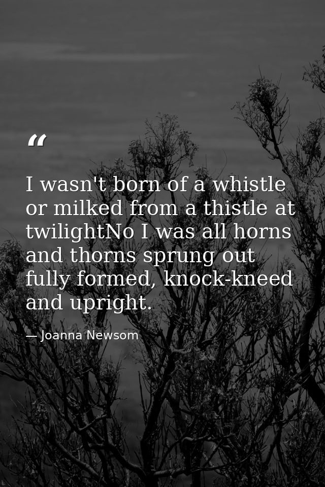 I wasn't born of a whistle or milked from a thistle at twilightNo I was all horns and thorns sprung out fully formed, kn — Joanna Newsom