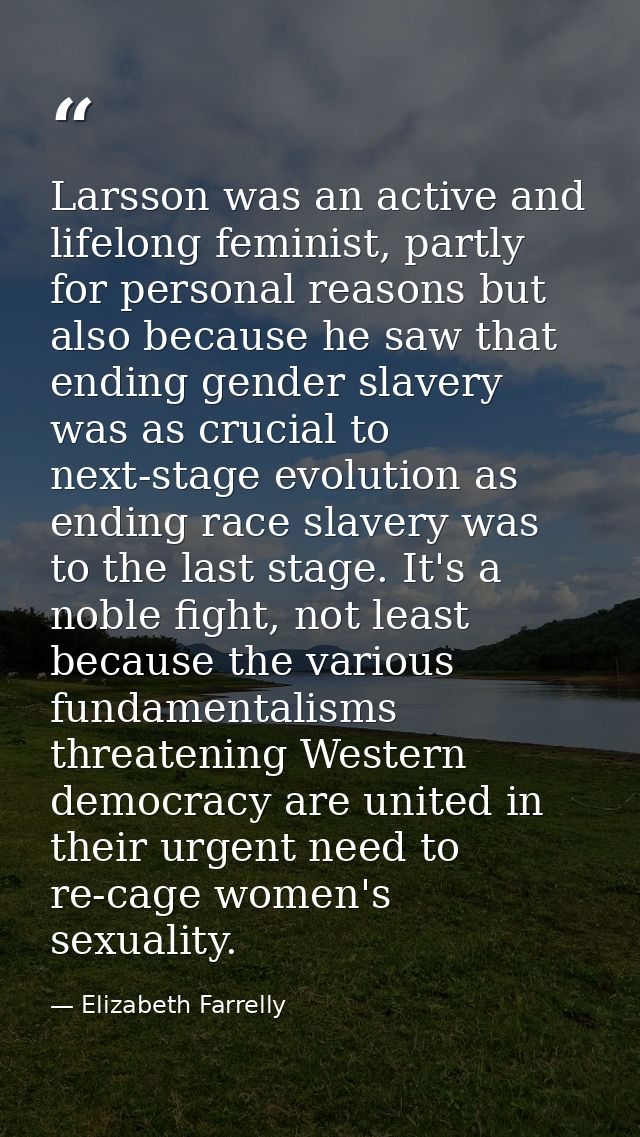 Larsson was an active and lifelong feminist, partly for personal reasons but also because he saw that ending gender slav — Elizabeth Farrelly