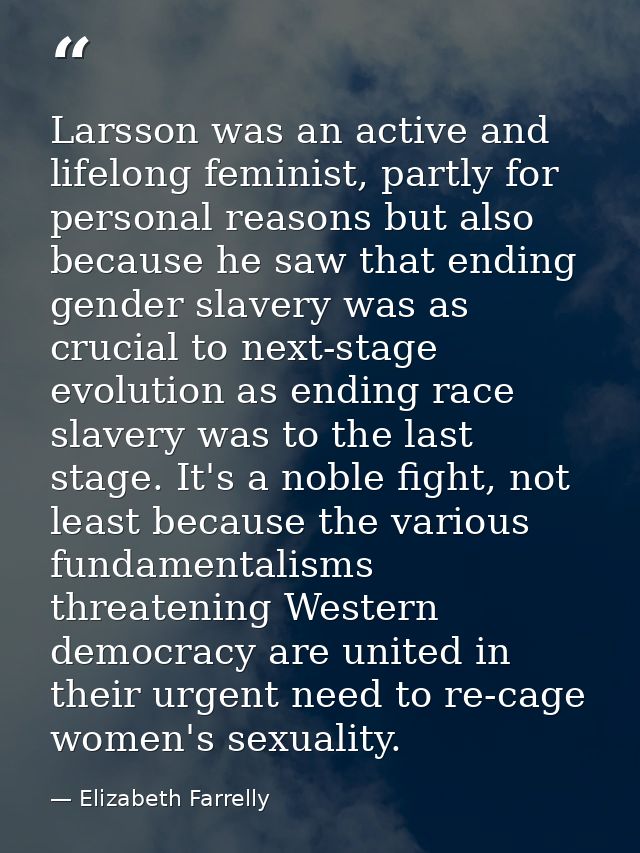 Larsson was an active and lifelong feminist, partly for personal reasons but also because he saw that ending gender slav — Elizabeth Farrelly