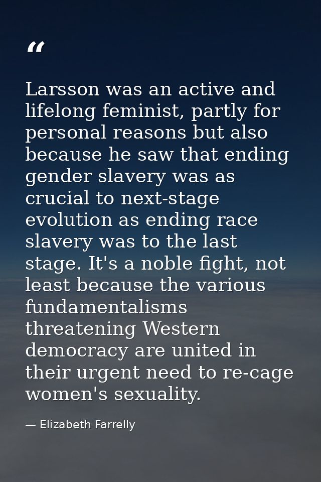 Larsson was an active and lifelong feminist, partly for personal reasons but also because he saw that ending gender slav — Elizabeth Farrelly