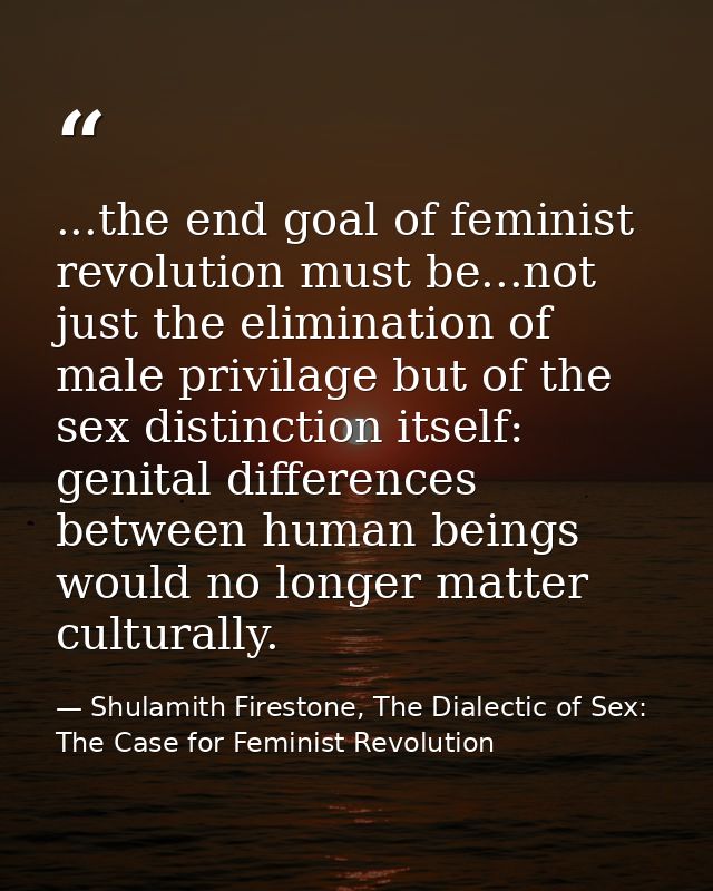 ...the end goal of feminist revolution must be...not just the elimination of male privilage but of the sex distinction i — Shulamith Firestone, The Dialectic of Sex: The Case for Feminist Revolution