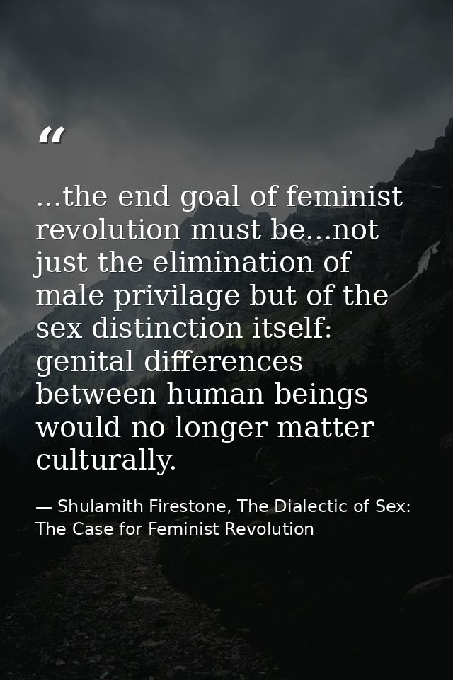 ...the end goal of feminist revolution must be...not just the elimination of male privilage but of the sex distinction i — Shulamith Firestone, The Dialectic of Sex: The Case for Feminist Revolution