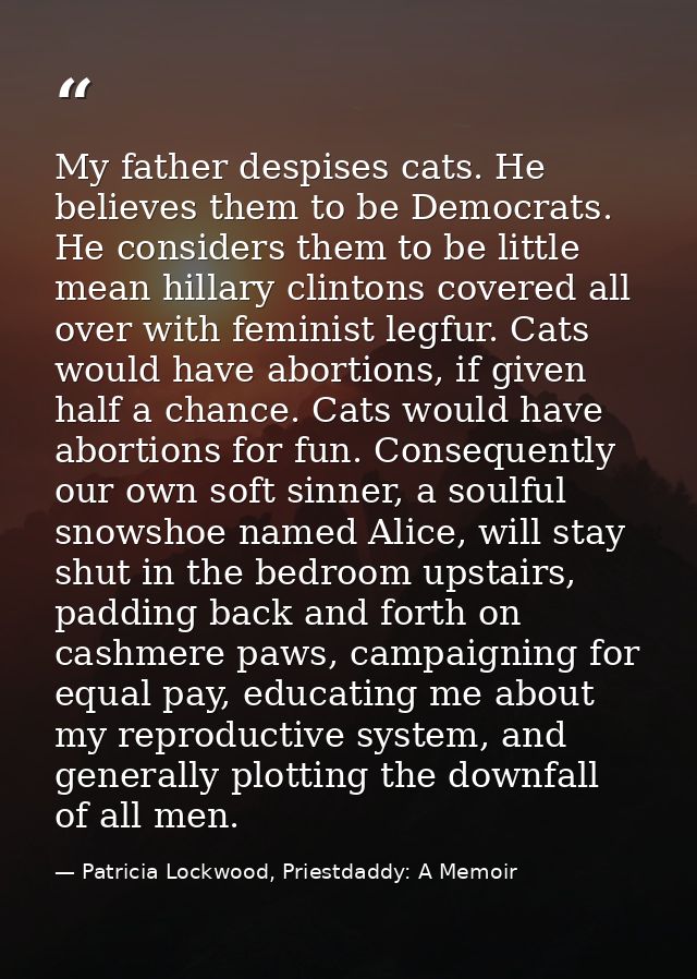 My father despises cats. He believes them to be Democrats. He considers them to be little mean hillary clintons covered  — Patricia Lockwood, Priestdaddy: A Memoir