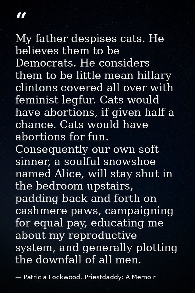 My father despises cats. He believes them to be Democrats. He considers them to be little mean hillary clintons covered  — Patricia Lockwood, Priestdaddy: A Memoir