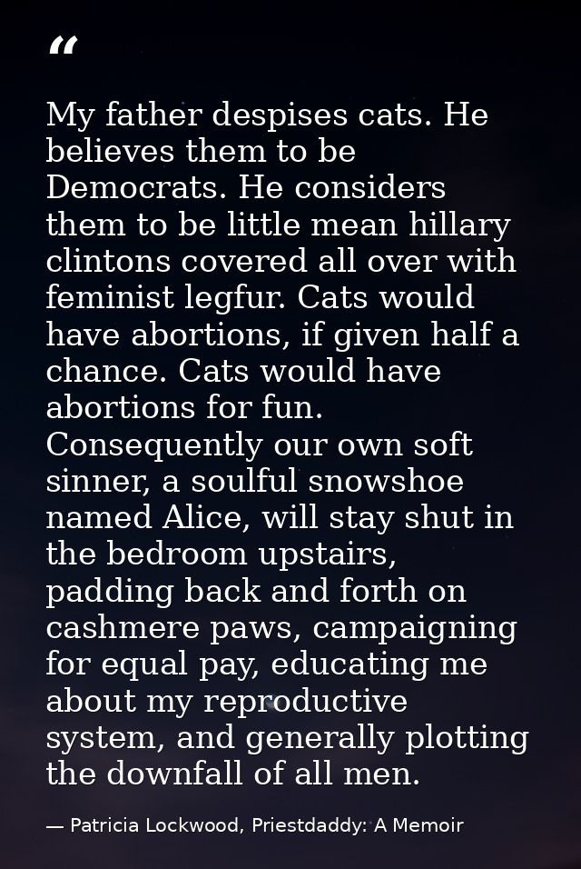 My father despises cats. He believes them to be Democrats. He considers them to be little mean hillary clintons covered  — Patricia Lockwood, Priestdaddy: A Memoir