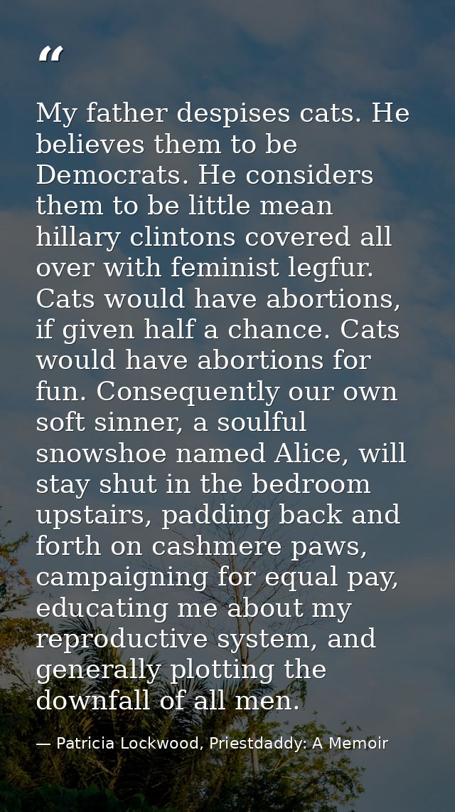My father despises cats. He believes them to be Democrats. He considers them to be little mean hillary clintons covered  — Patricia Lockwood, Priestdaddy: A Memoir
