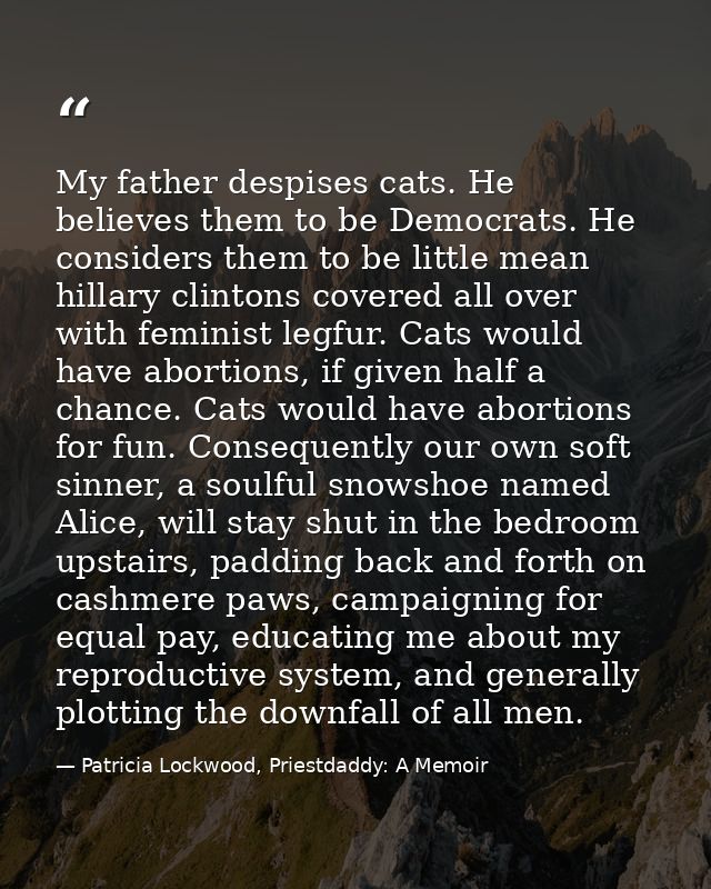 My father despises cats. He believes them to be Democrats. He considers them to be little mean hillary clintons covered  — Patricia Lockwood, Priestdaddy: A Memoir