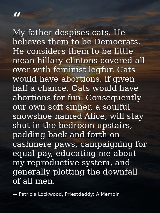 My father despises cats. He believes them to be Democrats. He considers them to be little mean hillary clintons covered  — Patricia Lockwood, Priestdaddy: A Memoir