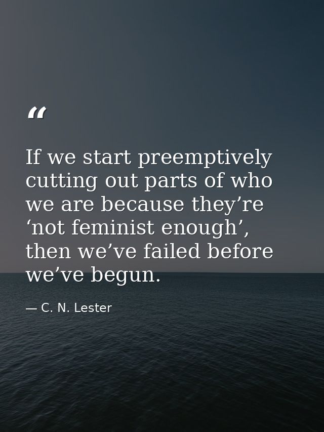 If we start preemptively cutting out parts of who we are because they’re ‘not feminist enough’, then we’ve failed before — C. N. Lester