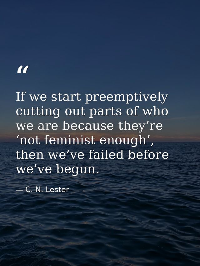 If we start preemptively cutting out parts of who we are because they’re ‘not feminist enough’, then we’ve failed before — C. N. Lester
