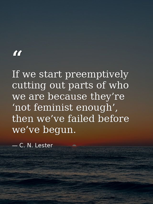 If we start preemptively cutting out parts of who we are because they’re ‘not feminist enough’, then we’ve failed before — C. N. Lester