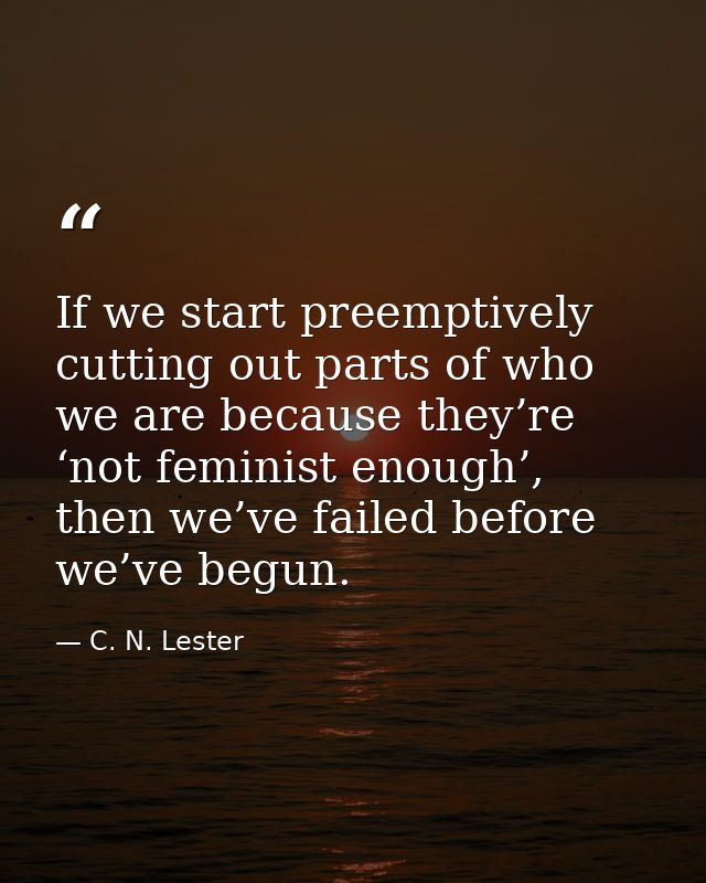 If we start preemptively cutting out parts of who we are because they’re ‘not feminist enough’, then we’ve failed before — C. N. Lester