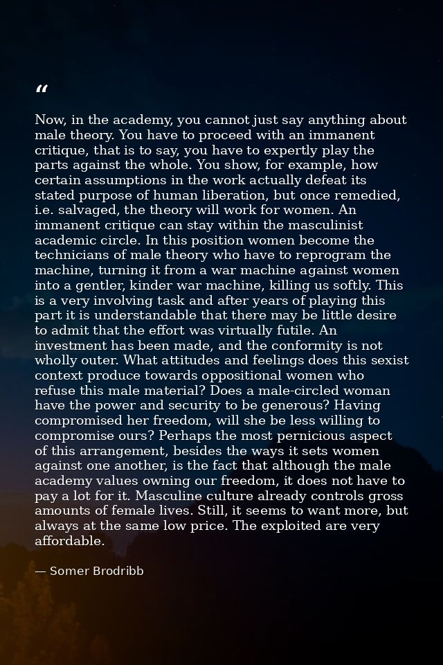 Now, in the academy, you cannot just say anything about male theory. You have to proceed with an immanent critique, that — Somer Brodribb