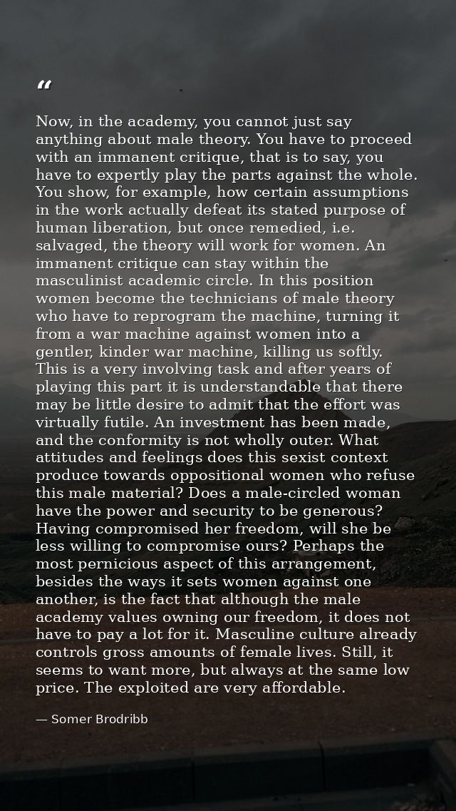 Now, in the academy, you cannot just say anything about male theory. You have to proceed with an immanent critique, that — Somer Brodribb