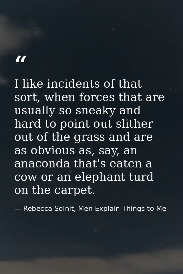 I like incidents of that sort, when forces that are usually so sneaky and hard to point out slither out of the grass and — Rebecca Solnit, Men Explain Things to Me