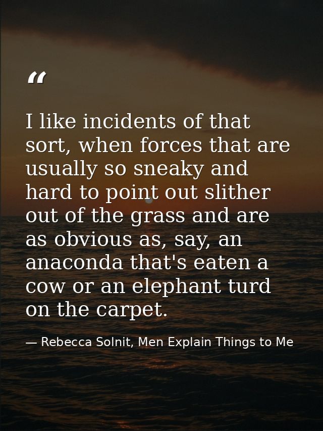 I like incidents of that sort, when forces that are usually so sneaky and hard to point out slither out of the grass and — Rebecca Solnit, Men Explain Things to Me