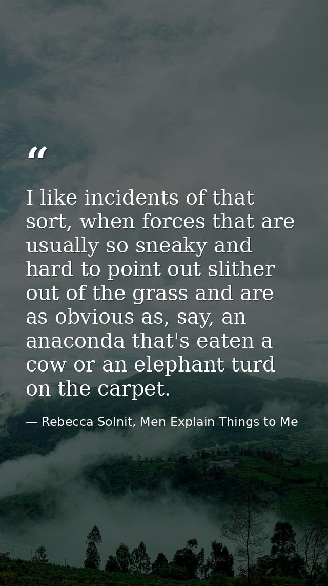 I like incidents of that sort, when forces that are usually so sneaky and hard to point out slither out of the grass and — Rebecca Solnit, Men Explain Things to Me