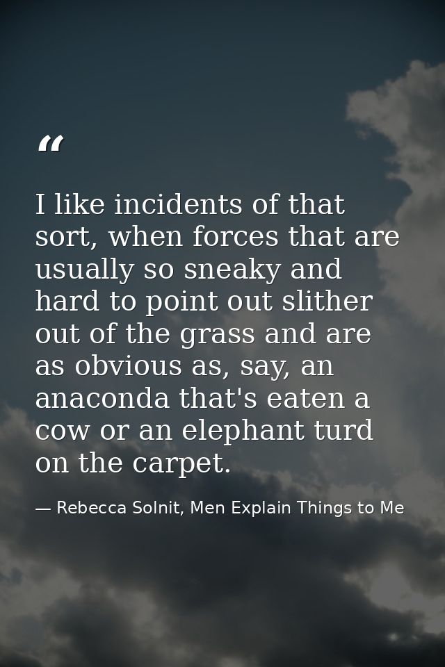 I like incidents of that sort, when forces that are usually so sneaky and hard to point out slither out of the grass and — Rebecca Solnit, Men Explain Things to Me
