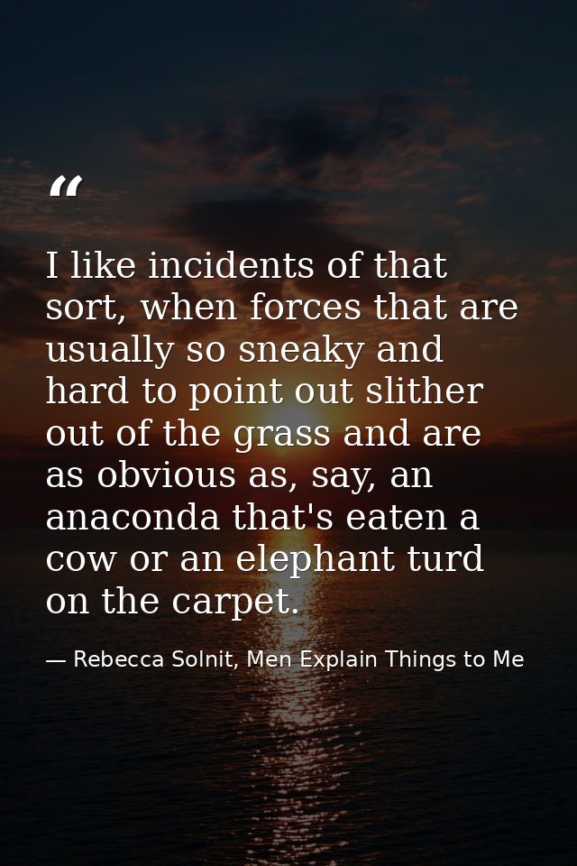 I like incidents of that sort, when forces that are usually so sneaky and hard to point out slither out of the grass and — Rebecca Solnit, Men Explain Things to Me