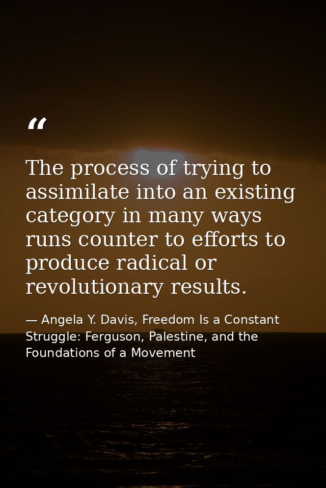 The process of trying to assimilate into an existing category in many ways runs counter to efforts to produce radical or — Angela Y. Davis, Freedom Is a Constant Struggle: Ferguson, Palestine, and the Foundations of a Movement