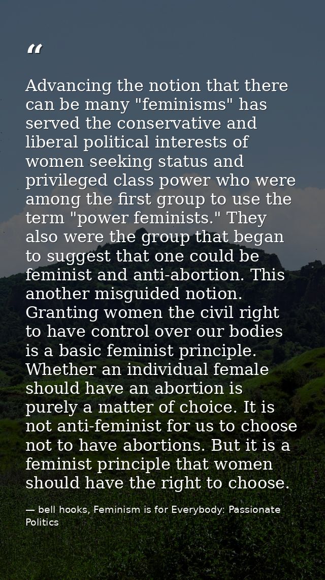 Advancing the notion that there can be many "feminisms" has served the conservative and liberal political interests of w — bell hooks, Feminism is for Everybody: Passionate Politics