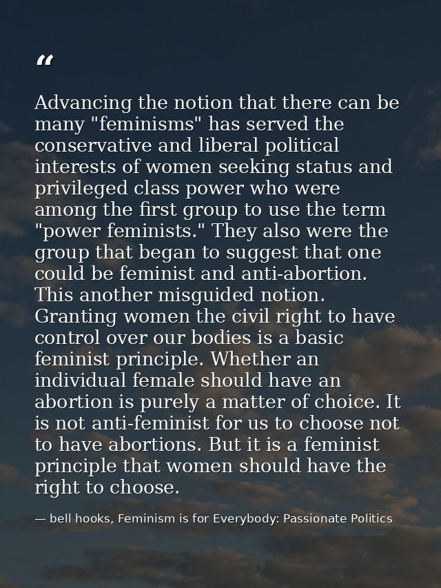 Advancing the notion that there can be many "feminisms" has served the conservative and liberal political interests of w — bell hooks, Feminism is for Everybody: Passionate Politics