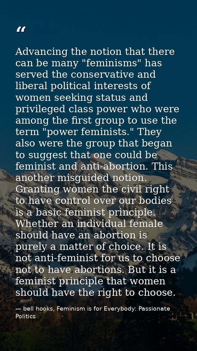 Advancing the notion that there can be many "feminisms" has served the conservative and liberal political interests of w — bell hooks, Feminism is for Everybody: Passionate Politics
