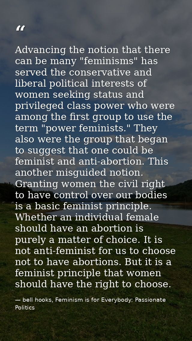 Advancing the notion that there can be many "feminisms" has served the conservative and liberal political interests of w — bell hooks, Feminism is for Everybody: Passionate Politics