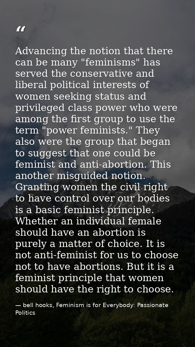 Advancing the notion that there can be many "feminisms" has served the conservative and liberal political interests of w — bell hooks, Feminism is for Everybody: Passionate Politics