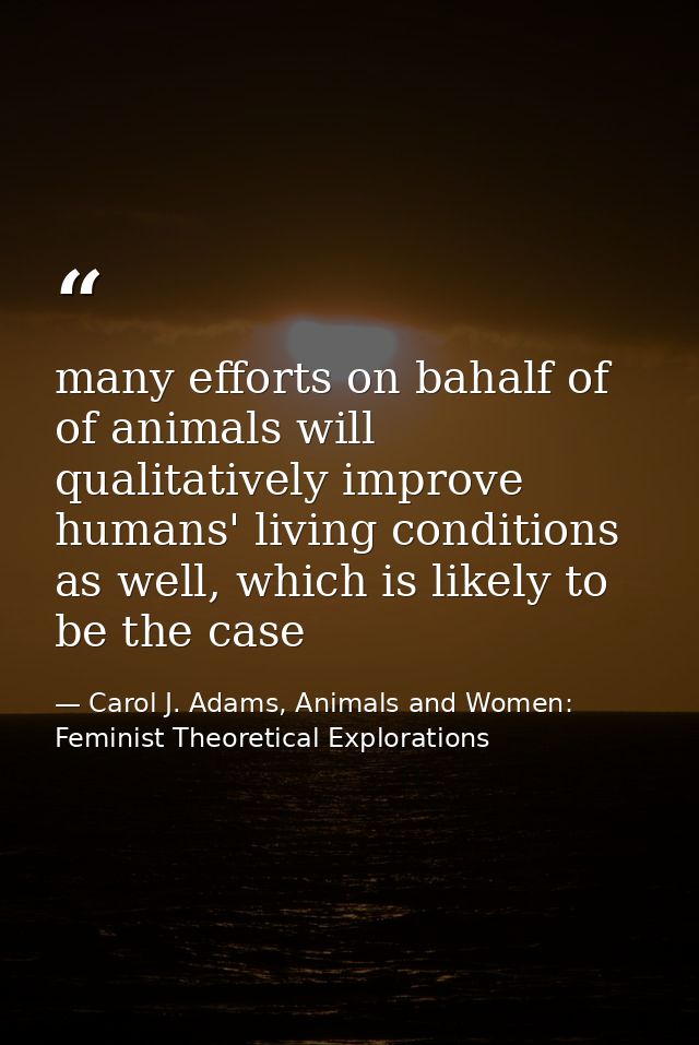 many efforts on bahalf of of animals will qualitatively improve humans' living conditions as well, which is likely to be — Carol J. Adams, Animals and Women: Feminist Theoretical Explorations