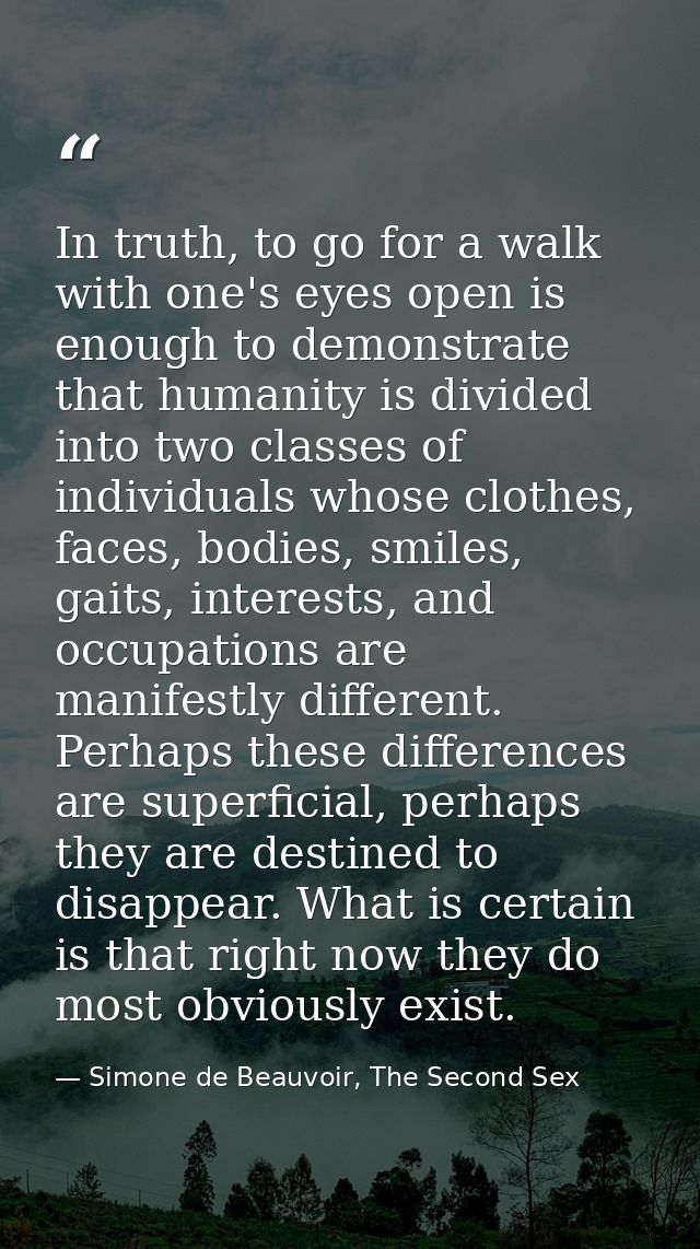In truth, to go for a walk with one's eyes open is enough to demonstrate that humanity is divided into two classes of in — Simone de Beauvoir, The Second Sex