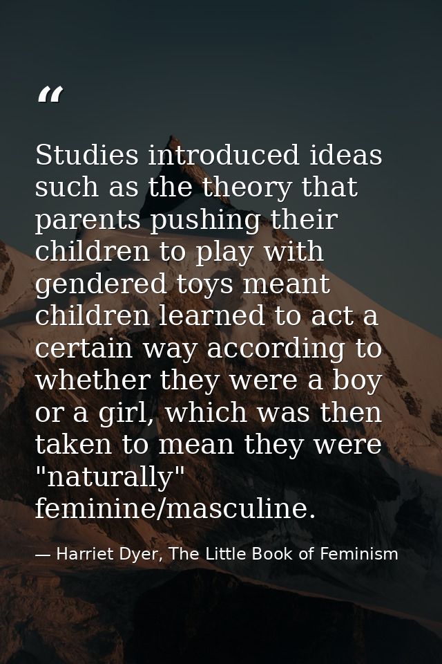 Studies introduced ideas such as the theory that parents pushing their children to play with gendered toys meant childre — Harriet Dyer, The Little Book of Feminism