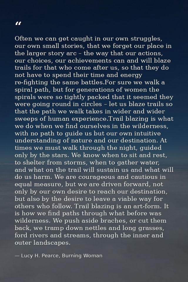 Often we can get caught in our own struggles, our own small stories, that we forget our place in the larger story arc –  — Lucy H. Pearce, Burning Woman
