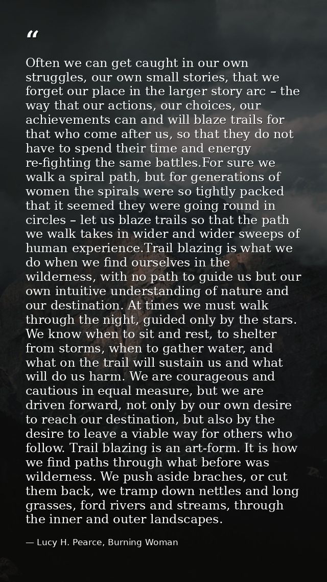 Often we can get caught in our own struggles, our own small stories, that we forget our place in the larger story arc –  — Lucy H. Pearce, Burning Woman