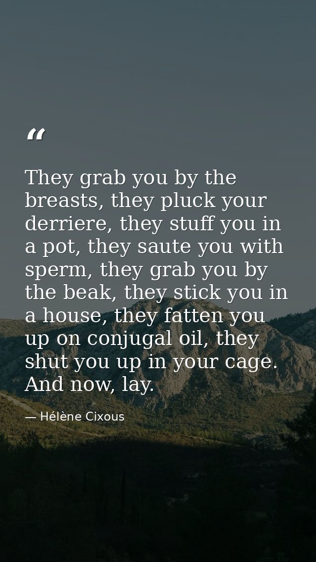 They grab you by the breasts, they pluck your derriere, they stuff you in a pot, they saute you with sperm, they grab yo — Hélène Cixous
