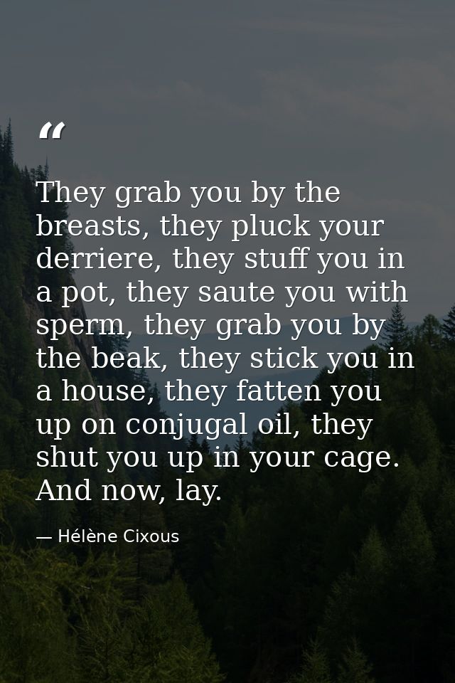They grab you by the breasts, they pluck your derriere, they stuff you in a pot, they saute you with sperm, they grab yo — Hélène Cixous