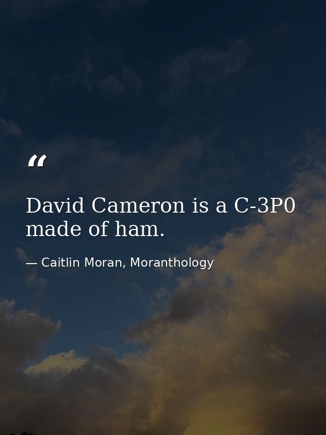 David Cameron is a C-3P0 made of ham. — Caitlin Moran, Moranthology