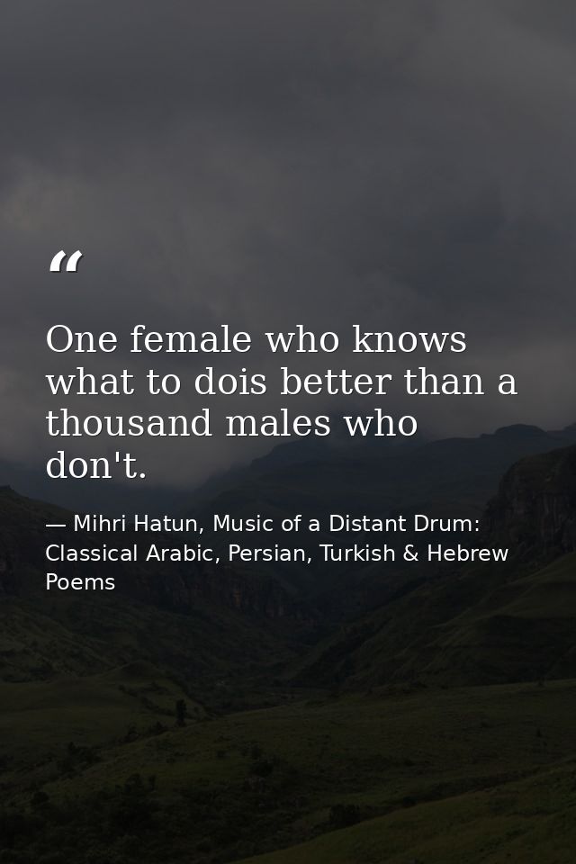 One female who knows what to dois better than a thousand males who don't. — Mihri Hatun, Music of a Distant Drum: Classical Arabic, Persian, Turkish & Hebrew Poems