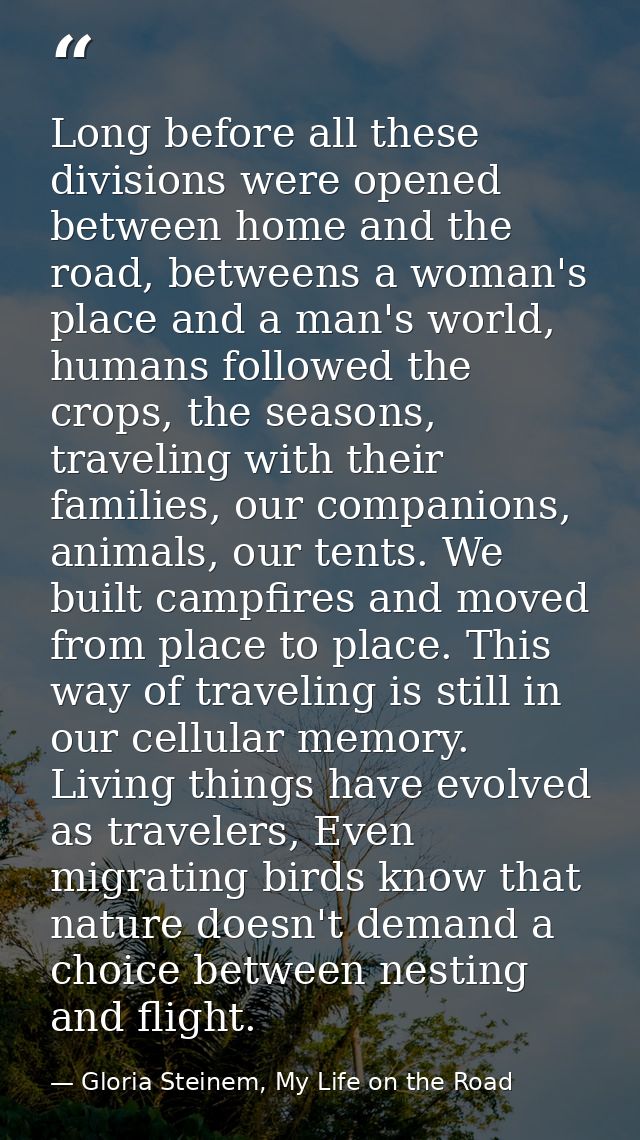 Long before all these divisions were opened between home and the road, betweens a woman's place and a man's world, human — Gloria Steinem, My Life on the Road