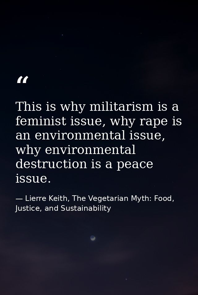 This is why militarism is a feminist issue, why rape is an environmental issue, why environmental destruction is a peace — Lierre Keith, The Vegetarian Myth: Food, Justice, and Sustainability