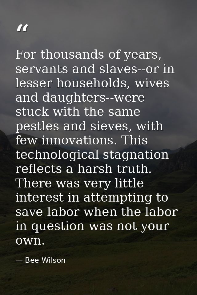 For thousands of years, servants and slaves--or in lesser households, wives and daughters--were stuck with the same pest — Bee Wilson