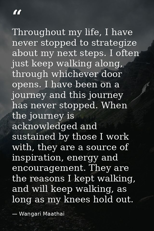 Throughout my life, I have never stopped to strategize about my next steps. I often just keep walking along, through whi — Wangari Maathai