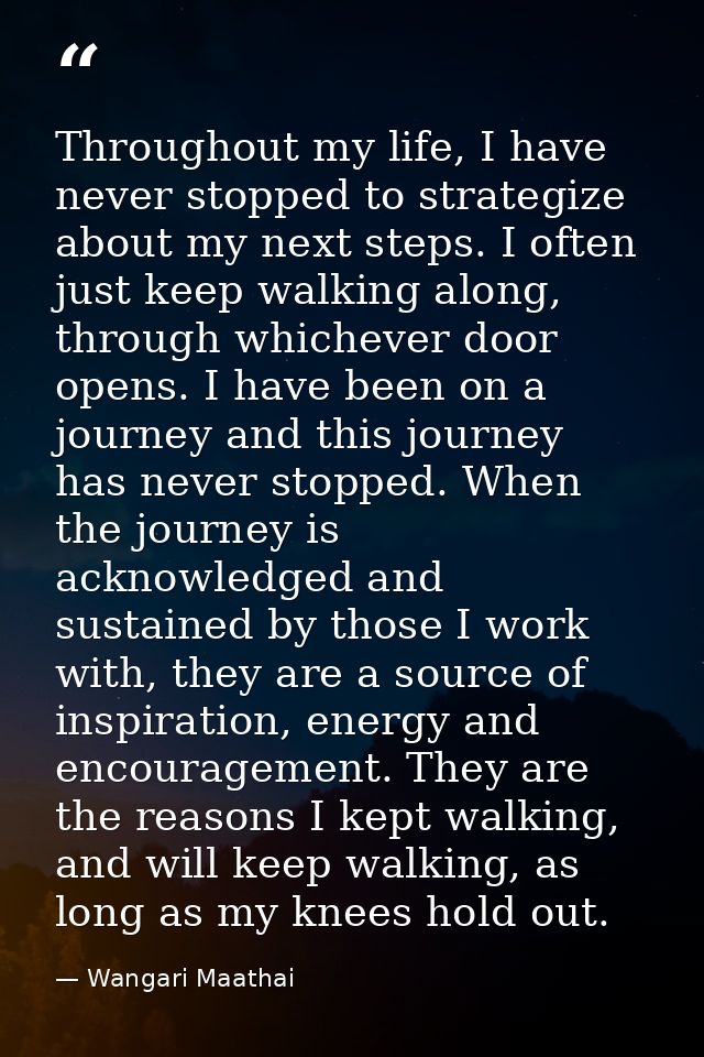 Throughout my life, I have never stopped to strategize about my next steps. I often just keep walking along, through whi — Wangari Maathai
