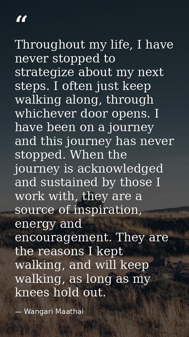 Throughout my life, I have never stopped to strategize about my next steps. I often just keep walking along, through whi — Wangari Maathai
