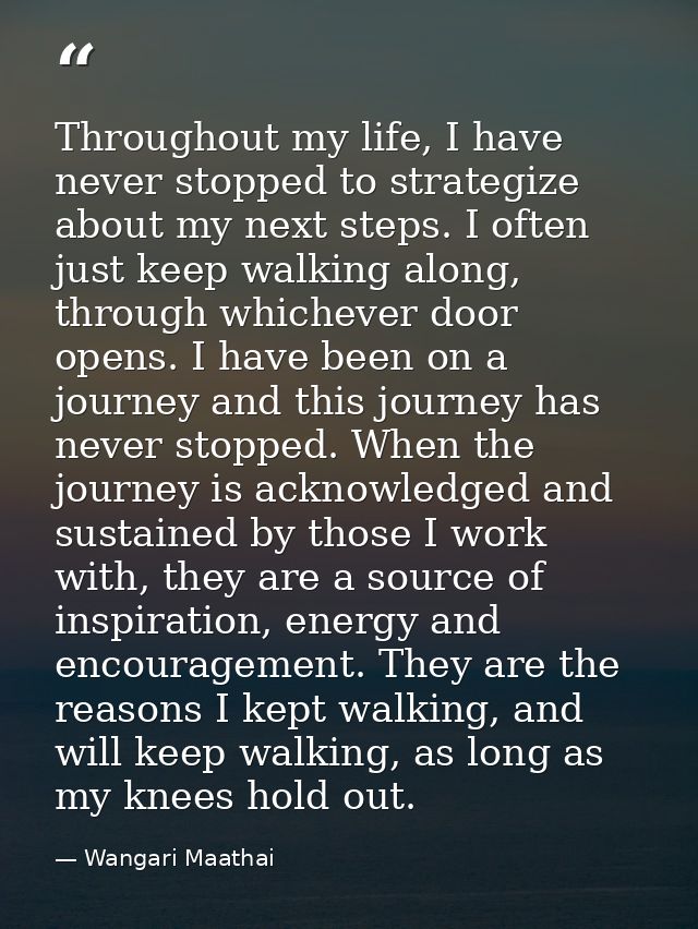 Throughout my life, I have never stopped to strategize about my next steps. I often just keep walking along, through whi — Wangari Maathai