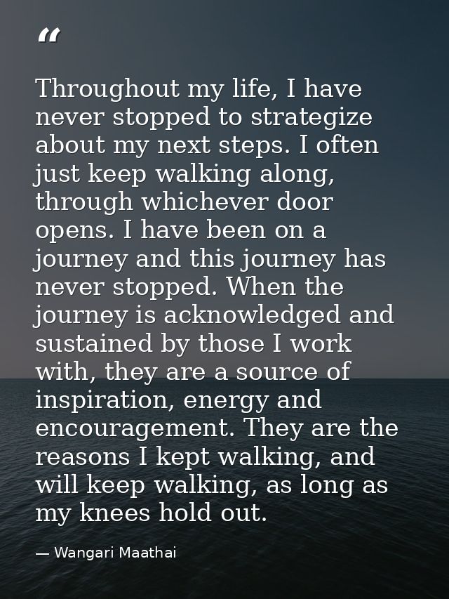 Throughout my life, I have never stopped to strategize about my next steps. I often just keep walking along, through whi — Wangari Maathai