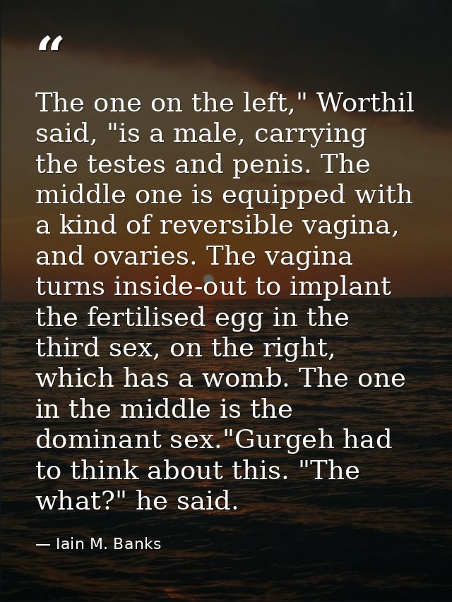 The one on the left," Worthil said, "is a male, carrying the testes and penis. The middle one is equipped with a kind of — Iain M. Banks
