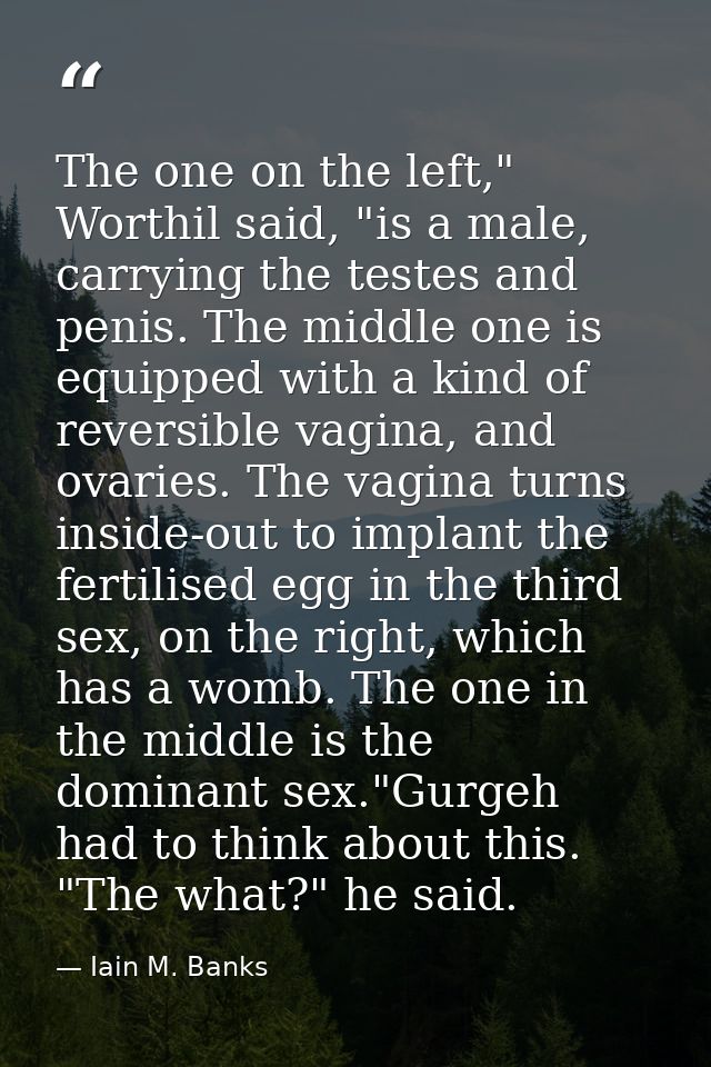 The one on the left," Worthil said, "is a male, carrying the testes and penis. The middle one is equipped with a kind of — Iain M. Banks