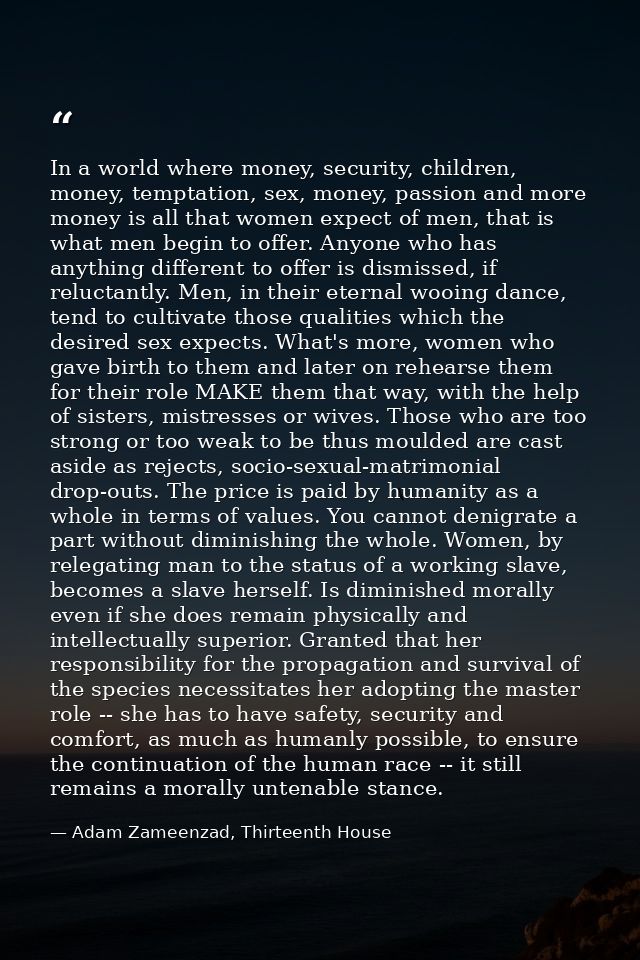 In a world where money, security, children, money, temptation, sex, money, passion and more money is all that women expe — Adam Zameenzad, Thirteenth House